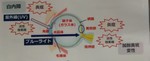 KIMG0169~2.JPG